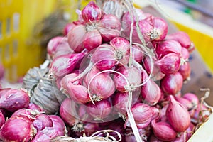 Shallot- red onion