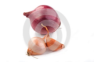 Shallot and Red Onion