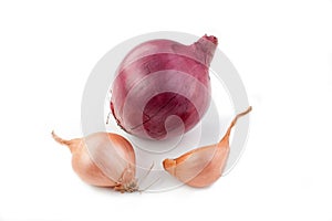Shallot and Red Onion