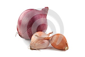 Shallot and Red Onion