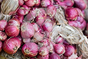 Shallot- red onion