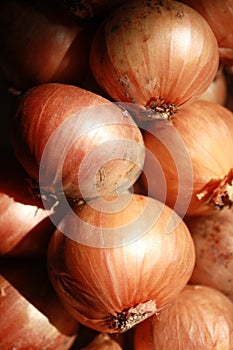 Shallots