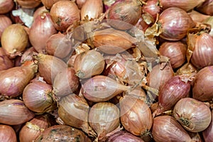 Shallots