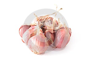 Shallots