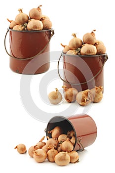 Shallots in a brown enamel cooking pot