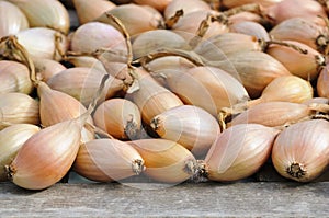 Shallots drying after harvest