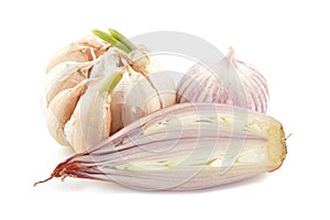 Shallots and garlic on a white background