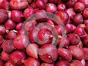 Shallots that have been harvested and cleaned and ready to be sold