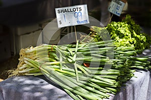 Shallots on Market stall photo