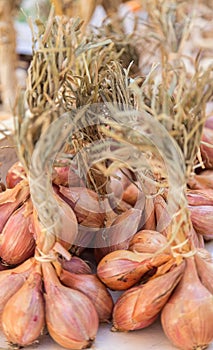 Shallots for Sale