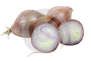 Shallots on a white background