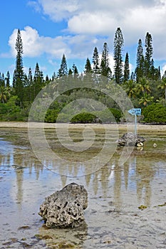 Shallow brackish river stream flowing with direction sign of Piscine Naturelle at Ile des Pins, New Caledonia.