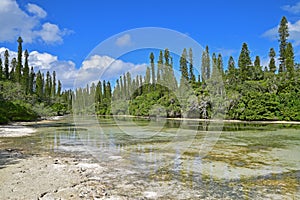 Shallow brackish river stream flowing towards Natural Pool at Ile des Pins, New Caledonia.