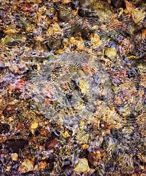 Shallow clear water flwoing over colorful river rocks.