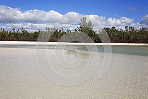 Shallow Crystal Clear Ocean Water and Sandbars on White Sand Beach
