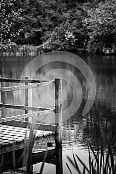 Shallow depth of field landscape image of vibrant peaceful Summer lake in English countryside in black and white