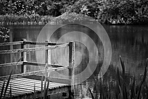 Shallow depth of field landscape image of vibrant peaceful Summer lake in English countryside in black and white