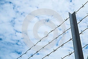 Shallow depth of field, old barbed steel wire against blue sky