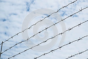 Shallow depth of field, old barbed steel wire against blue sky