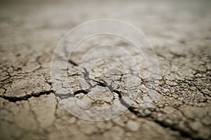 Shallow depth of field selective focus details with scorched earth under the strong sun of a summer day - drought