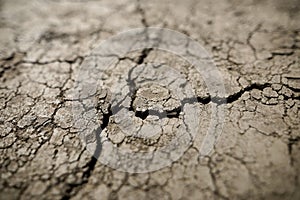 Shallow depth of field selective focus details with scorched earth under the strong sun of a summer day - drought