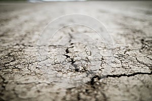 Shallow depth of field selective focus details with scorched earth under the strong sun of a summer day - drought