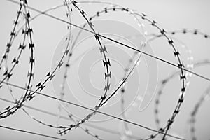 Shallow depth of field selective focus and filtered image with a razor wire on the outside wall of a governmental institution on
