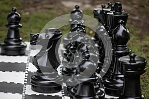 Shallow depth of field selective focus image with a garden chess set
