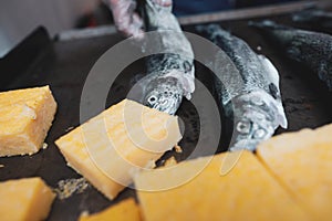 Shallow depth of field selective focus image with a man cooking trout fish and polenta on a stove outdoors on a cold day