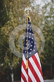 Shallow depth of field selective focus image with the US flag on a pole on a vegetal background