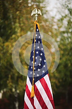 Shallow depth of field selective focus image with the US flag on a pole on a vegetal background