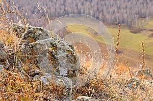 Shallow depth of field view of rock stones covered with lichen surrounded by yellow autumn grass on gentle hills