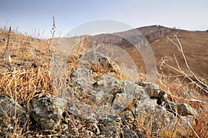 Shallow depth of field view of rock stones covered with lichen surrounded by yellow autumn grass on gentle hills