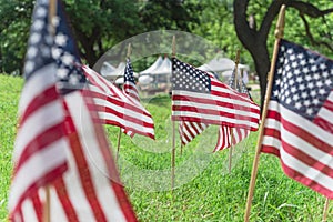 Shallow DOF selective focus many lawn American flags display on green grass on Memorial Day