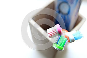 Shallow DOF shot of three toothbrushes and toothpaste in a clay tumbler in the morning light