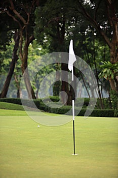 A shallow focus photo of a golf ball on the green, with a hole and a white flag in the blurred foreground. The background is a