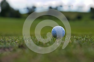 Shallow focus shot of a golf ball in a golf course