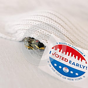 Shallow focus of a small water turtle under knitted fabric with an I voted sticker