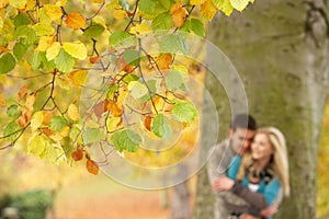 Shallow Focus View Of Romantic Teenage Couple