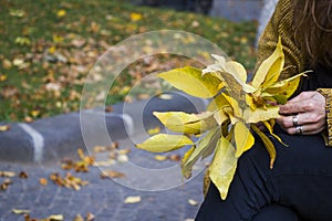 Shallow focus of a woman holding autumn leaves in a par