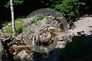 Shallow mountain stream of Sutov creek, Terchova region, northern Slovakia. Some tree trunks fallen across the water flow.