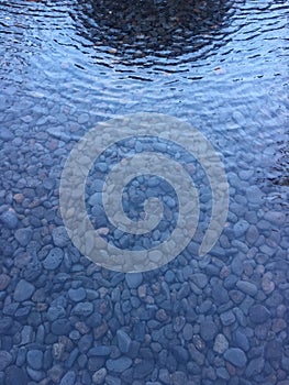 Shallow pond with pebbles visible