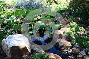 Shallow Pond Surrounded By Stones And Plants