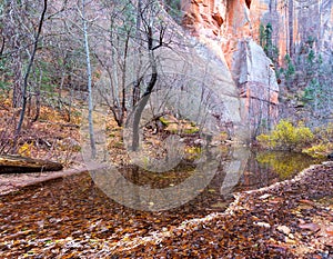 Shallow Pond Water, Autumn Leafs, Red Rock Cliffs