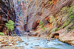 Shallow rapids of the famous Virgin River