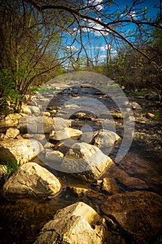 Shallow Rapids of a Small Stream