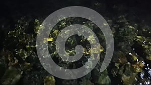 Shallow Rippled Sea Water Over Rocks, Dull illumination From Artificial Light