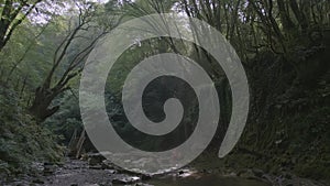 Shallow river in the jungle. CREATIVE. In the green jungle runs a mountain river in the stones. The sky is covered with