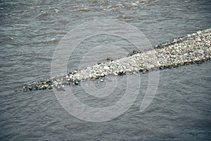 Shallow river and many river rocks. Low water season .