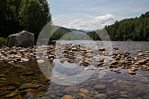 Shallow river in the wild forest